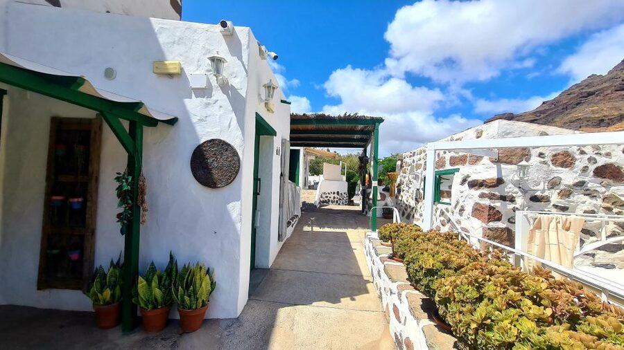 Gran Canaria: Tasting wine & local cheese in Mogan - Where Mogán flavors meet a real wine cellar