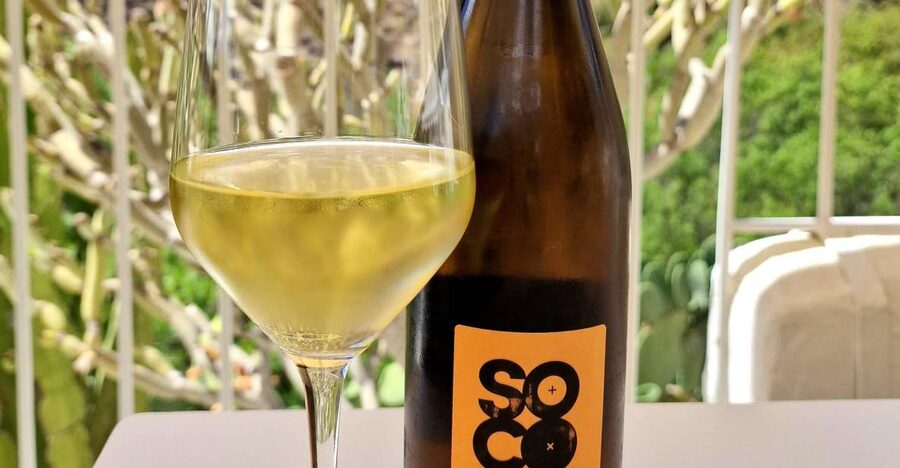Gran Canaria: Tasting wine & local cheese in Mogan - Canarian cheese tasting for about an hour