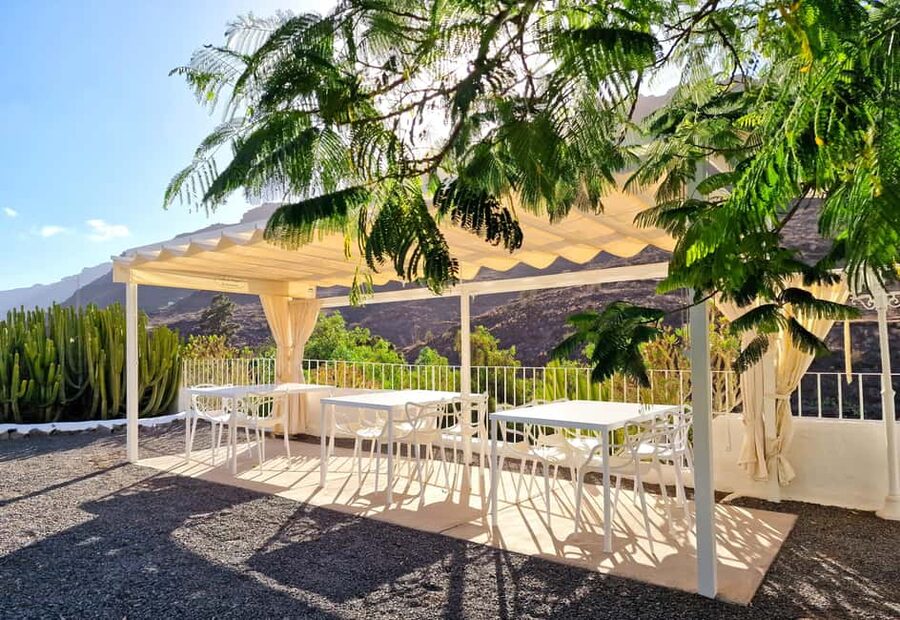 Gran Canaria: Tasting wine & local cheese in Mogan - Price, value, and what you actually get for $61