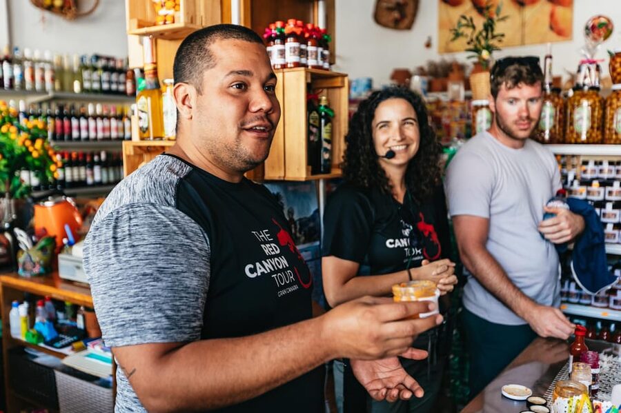 Gran Canaria: The Red Canyon Tour with Local Food Tasting - Price and What You’re Actually Buying for $105