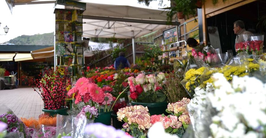 Gran Canaria: Traditional Markets, San Mateo & Teror - Key things to know before you go
