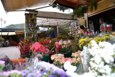 Traditional Markets, San Mateo & Teror