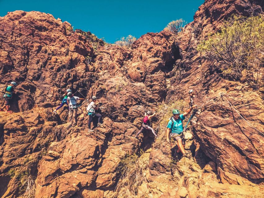 Gran Canaria: Vía Ferrata Tour for Beginners - What you will actually do on the cliff (and what it feels like)