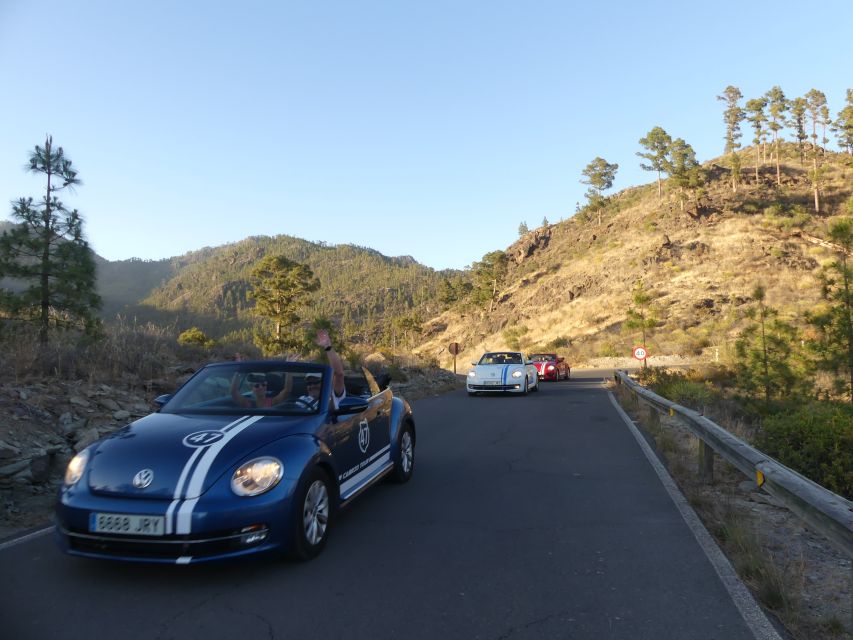 Gran Canaria : West coast Cabrio Sunset - Puerto de Mogán, your real walking window