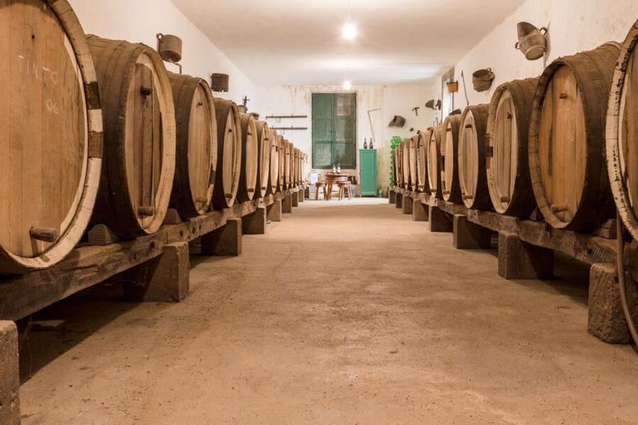 Gran Canaria: Winery Tour, Wine Museum, and Tasting - Rain or shine, and what to wear