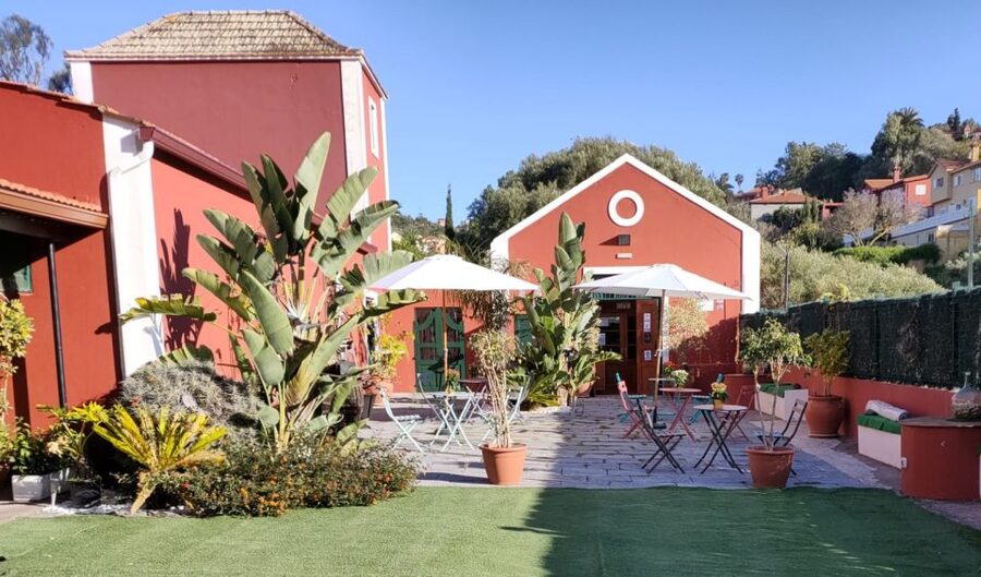 Gran Canaria: Winery Tour, Wine Museum, and Tasting - Who this tour is best for (and who might skip it)