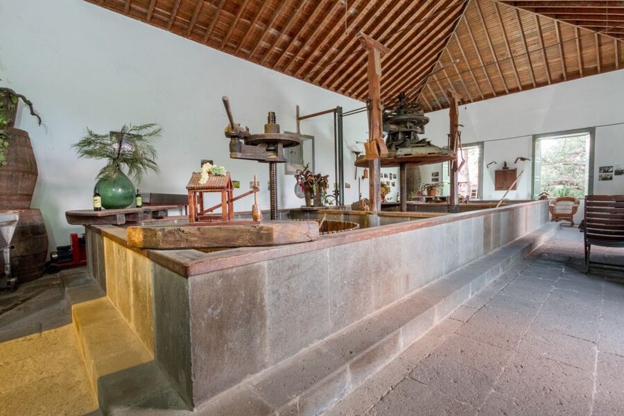 Gran Canaria: Winery Tour, Wine Museum, and Tasting - FAQ
