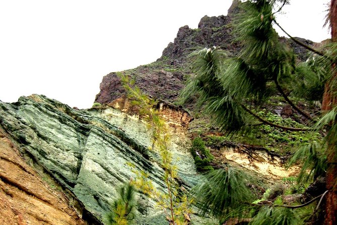 Grand Tour in Gran Canaria - Price and value: what $54.41 really buys on a guided 9-hour day