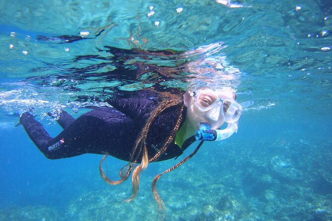 Guided Snorkelling Experience in South of Gran Canaria - Key Highlights You Can Actually Use