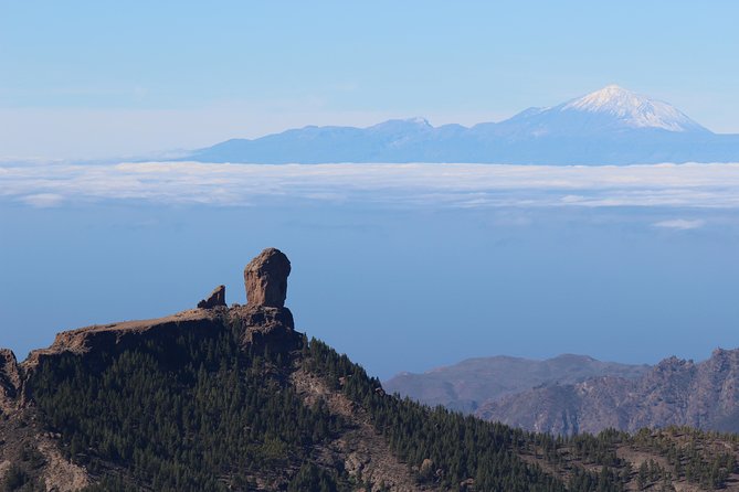 Guided tour: Discover Gran Canaria - Past Ayacata Almond Trees and San Bartolomé Fataga