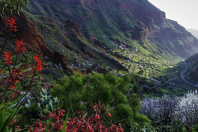 Guided tour: Discover Gran Canaria - Lunch, Breaks, and Why the Day Feels Full