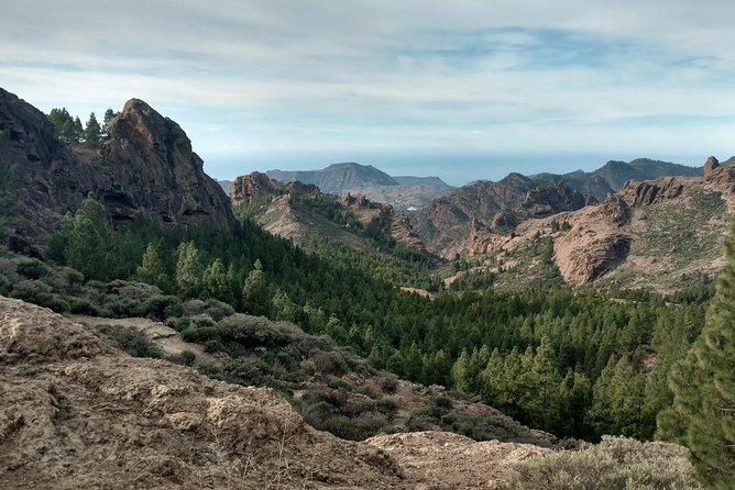 Guided tour: Discover Gran Canaria - Riding the Coach: Comfort Meets Cliffside Roads