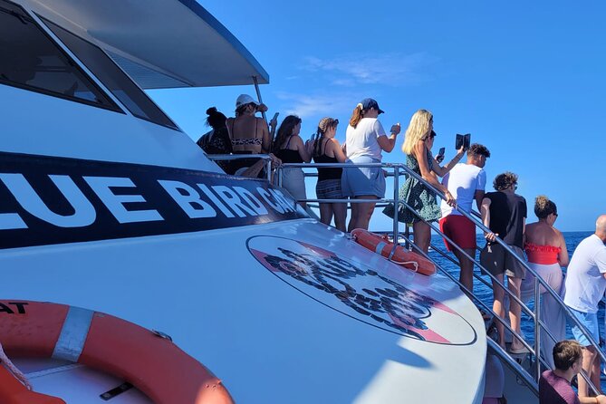 Half-Day Cruise Tour-Dolphin and Whale Watching - Why Puerto Rico Marina makes this cruise feel easy