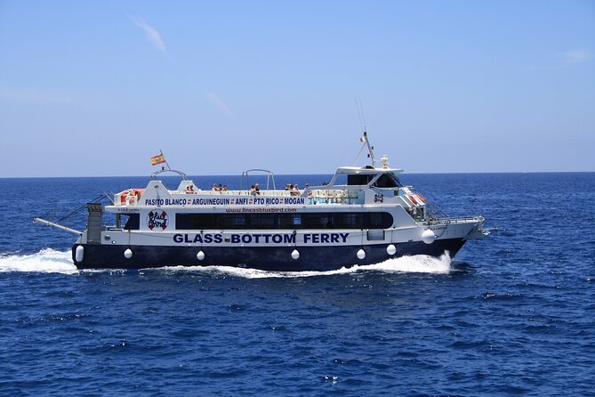 Half-Day Cruise Tour-Dolphin and Whale Watching - The swim and snorkel stop, with slide access