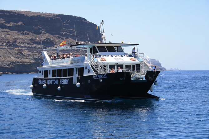 Half-Day Cruise Tour-Dolphin and Whale Watching - Boat comfort and crew service you will feel right away