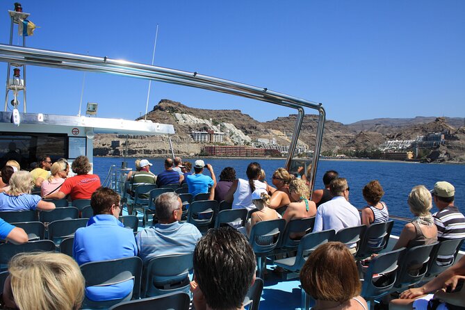 Half-Day Cruise Tour-Dolphin and Whale Watching - Timing, seats, and small tips that improve your day