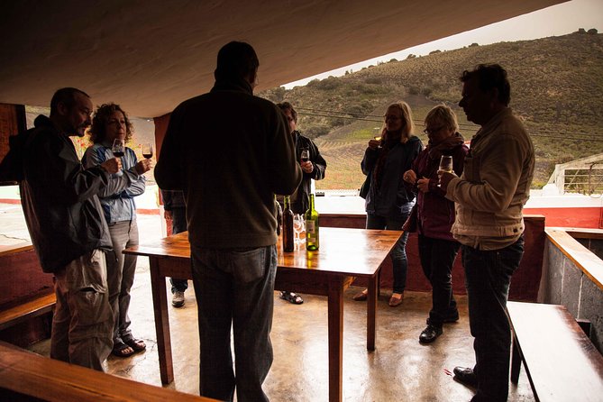 Half day to Bandama Caldera, Botanical experience & Wine-Tasting - Key highlights to look for