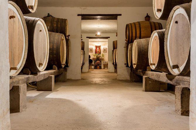 Half day to Bandama Caldera, Botanical experience & Wine-Tasting - What you get for the price, and why it can still be a good deal