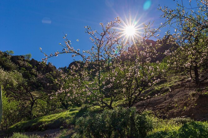 Hikes Roque Nublo - Key things to know before you go