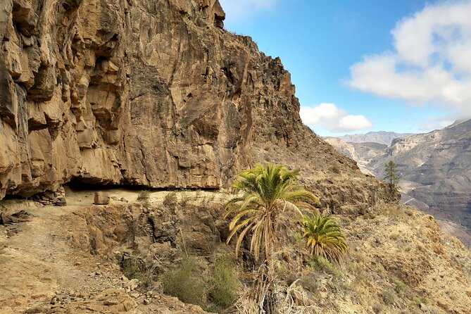 Hiking experience in the north of Gran Canaria - Route of the Week: How Your North Gran Canaria Day Gets Chosen