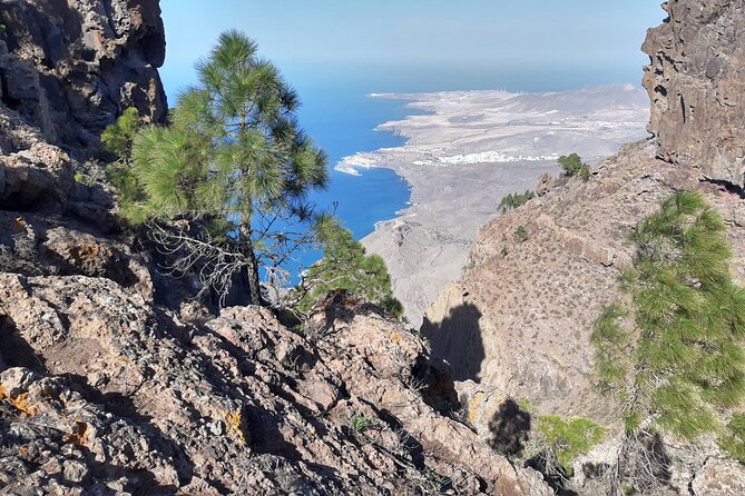 Hiking experience in the north of Gran Canaria - The guide factor: small group attention and real plant-and-animal talk