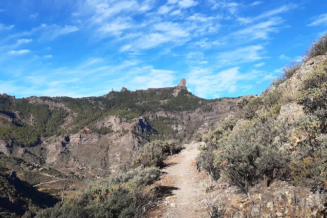 Hiking experience in the north of Gran Canaria - Lunch plan: restaurant meal or a picnic swap