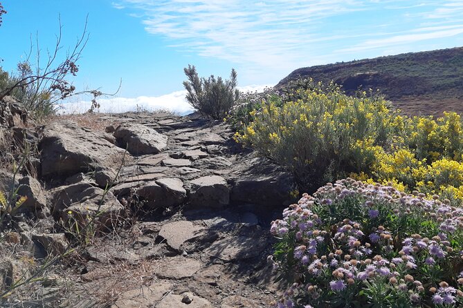 Hiking experience in the north of Gran Canaria - Footwear and fitness: the non-negotiables
