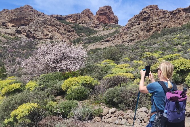 Hiking in the Sacred Mountains of Gran Canaria: UNESCO - Why La Caldera de Tejeda feels different from other hikes
