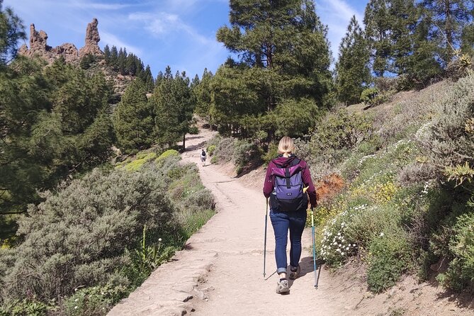 Hiking in the Sacred Mountains of Gran Canaria: UNESCO - Mesa de Acusa: where cave sites move from theory to detail