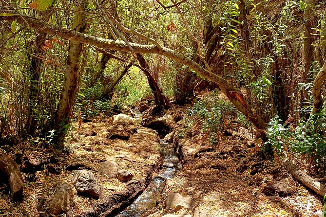 Hiking in Waterfalls & Rainforest with local guides: Sky Rebels - Brunch Sandwiches and Fruits, Included and Actually Useful