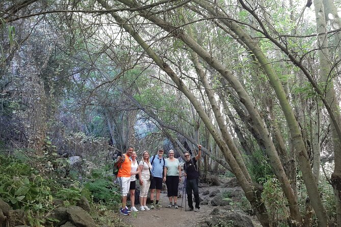 Hiking in Waterfalls & Rainforest with local guides: Sky Rebels - Hiking Poles and Shoe Advice That Saves Your Knees