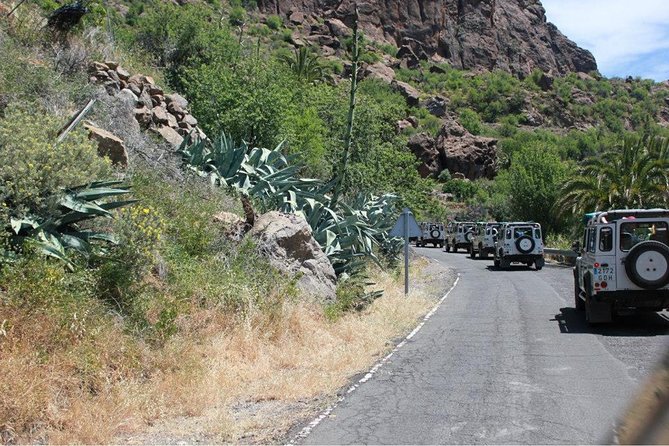 Jeep Tour 4x4 in Gran Canaria - English commentary and guide quality: what to watch before you book