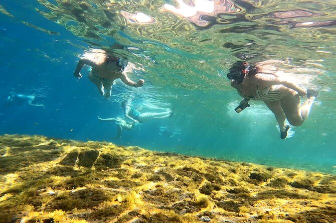 Kayaking Adventure Route with Snorkeling in Mogan Caves - Snorkeling Stop: How to Actually See Fish Around the Reefs