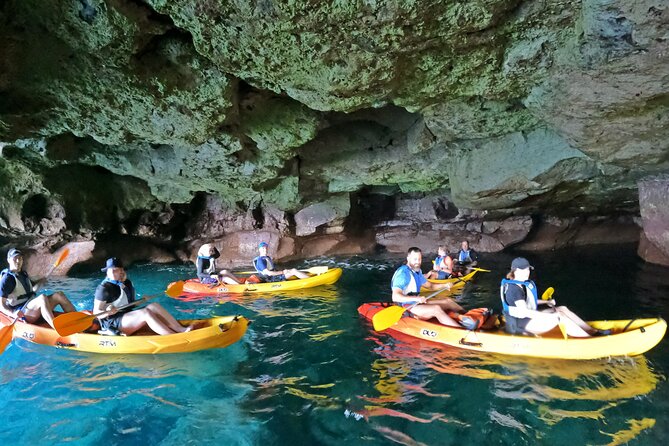 Kayaking Adventure Route with Snorkeling in Mogan Caves - Swimming in the Caves: The Part You Will Remember