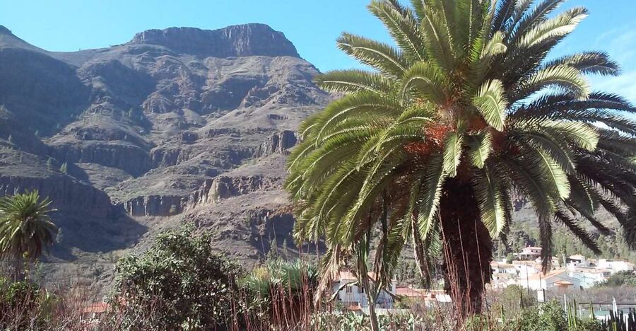 Las Palmas: 8-Hour Gran Canaria Island Highlights Tour - Key highlights you will feel right away