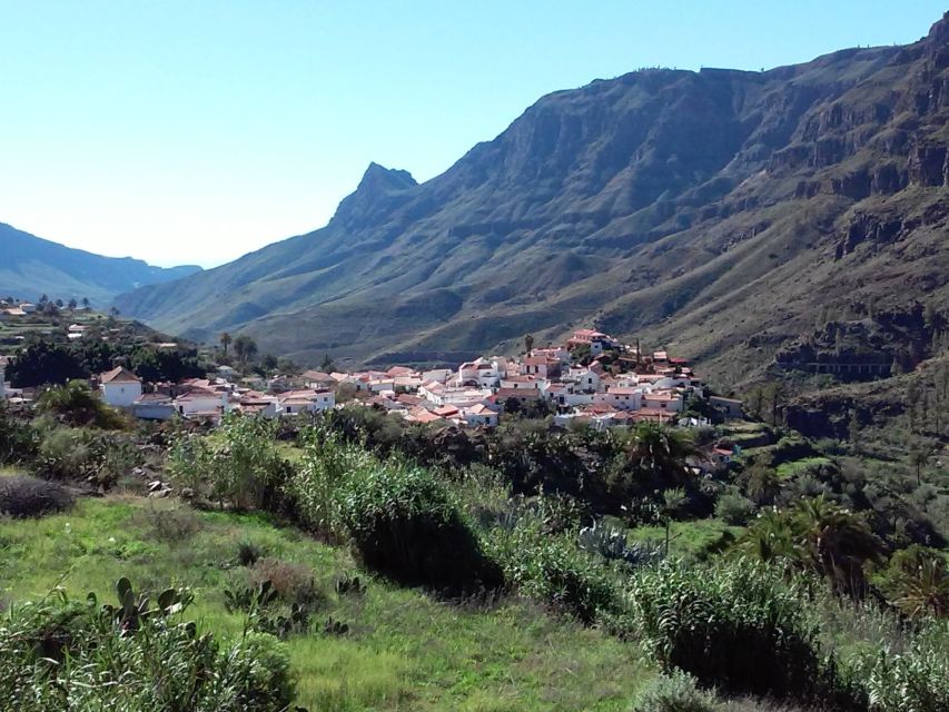 Las Palmas: 8-Hour Gran Canaria Island Highlights Tour - The real-life logistics: winding roads and a long but manageable day