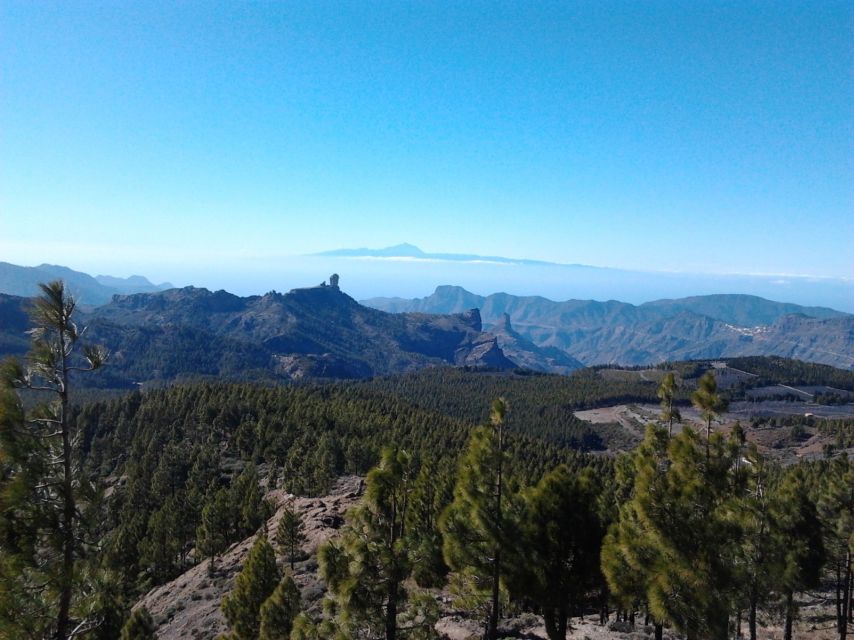 Las Palmas: 8-Hour Gran Canaria Island Highlights Tour - English-only guidance: great if you want clarity, limiting if you don’t