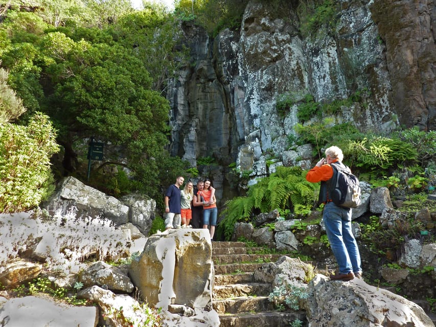 Las Palmas: Botanic Garden Tour (Bandama Caldera Option) - Your easy starting point in Las Palmas, then straight to the plants