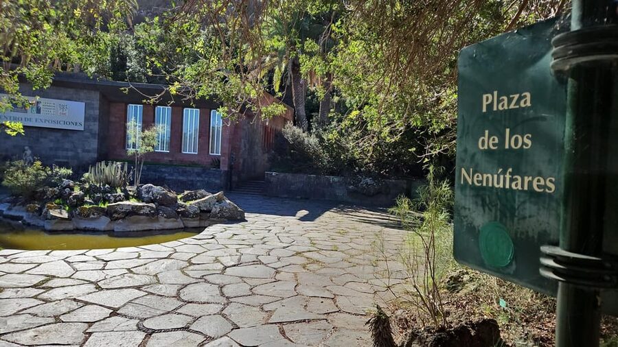 Las Palmas: Botanic Garden Tour (Bandama Caldera Option) - Photo stops and the “what should I look for” moment