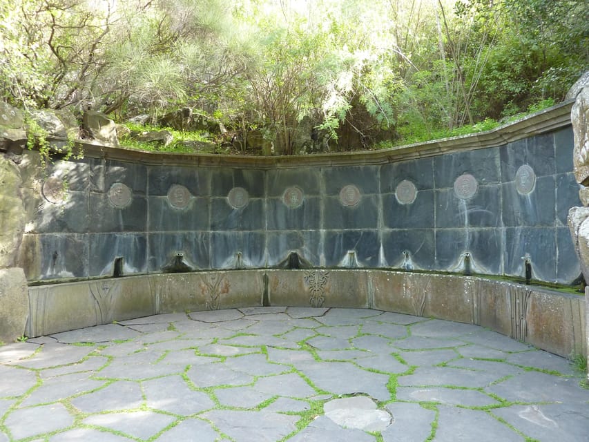 Las Palmas: Botanic Garden Tour (Bandama Caldera Option) - How to get there by bus if you are going on your own