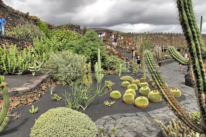Las Palmas, Botanical Garden & Bandama Crater tour - Gran Canaria - Why this day trip works for first-timers in Las Palmas