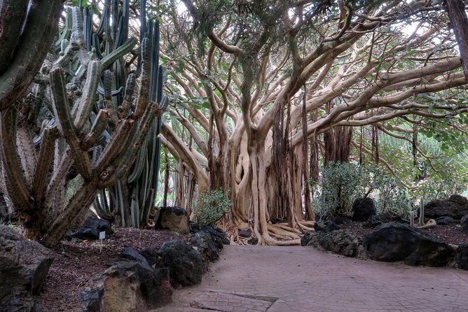 Las Palmas, Botanical Garden & Bandama Crater tour - Gran Canaria - Stop 1: Caldera de Bandama viewpoint with free admission