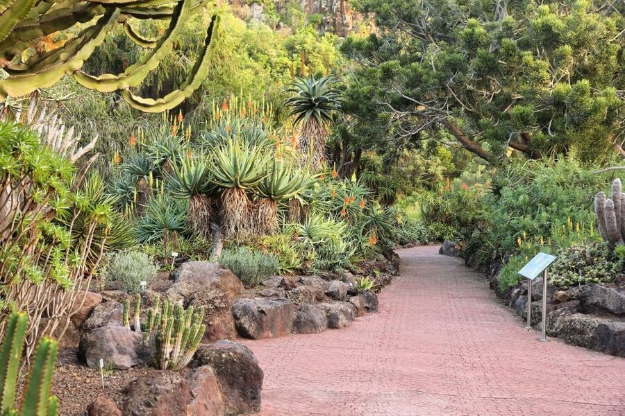 Las Palmas, Botanical Gardens and Bandama Volcano Tour - Poema del Mar and the aquarium ticket you decide on