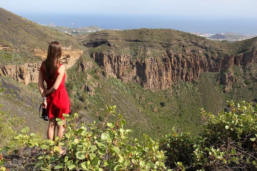 Las Palmas, Botanical Gardens and Bandama Volcano Tour - Timing tips to keep the day feeling relaxed (not hectic)