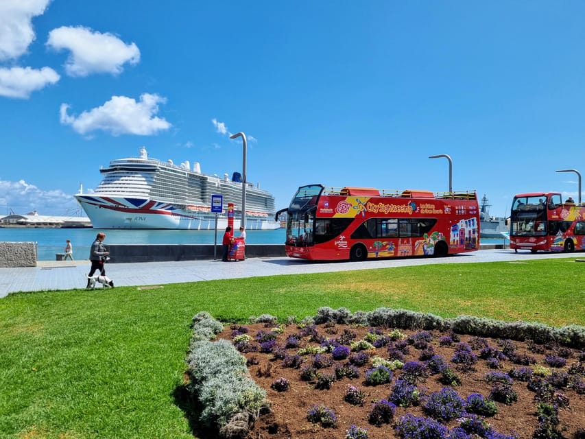 Las Palmas: City Sightseeing Hop-On Hop-Off Bus Tour - Comfort and Timing Tips for an Open-Top Day