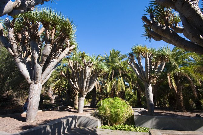 Las Palmas City Tour and Surroundings - Stop 2: Bandama Caldera viewpoint, short stop, big payoff