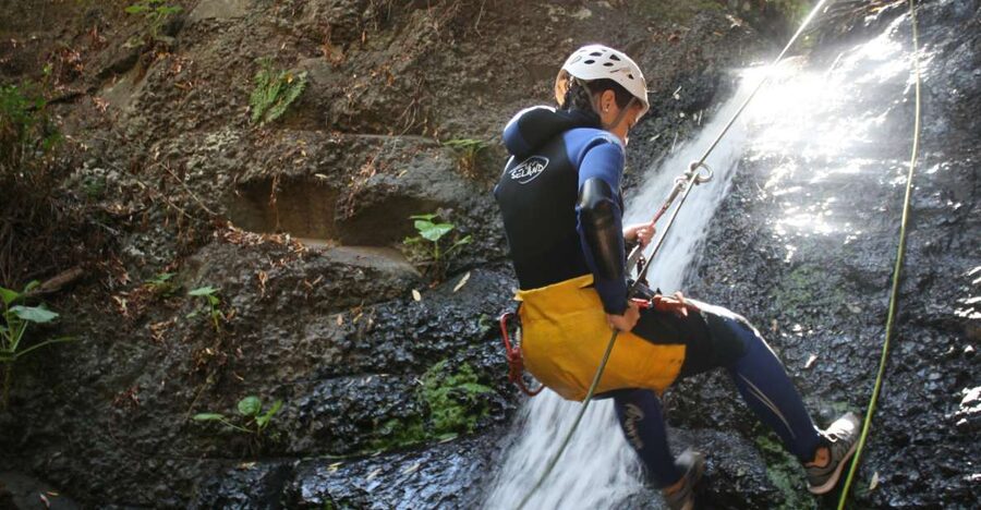 Las Palmas, Gran Canaria: Canyoning Adventure - Why Barranco de los Cernícalos Feels Like a Jungle Drop Zone