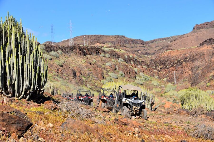 Las Palmas: Gran Canaria Guided Buggy Tour - The Two Hours: How the Ride and View Stops Usually Feel