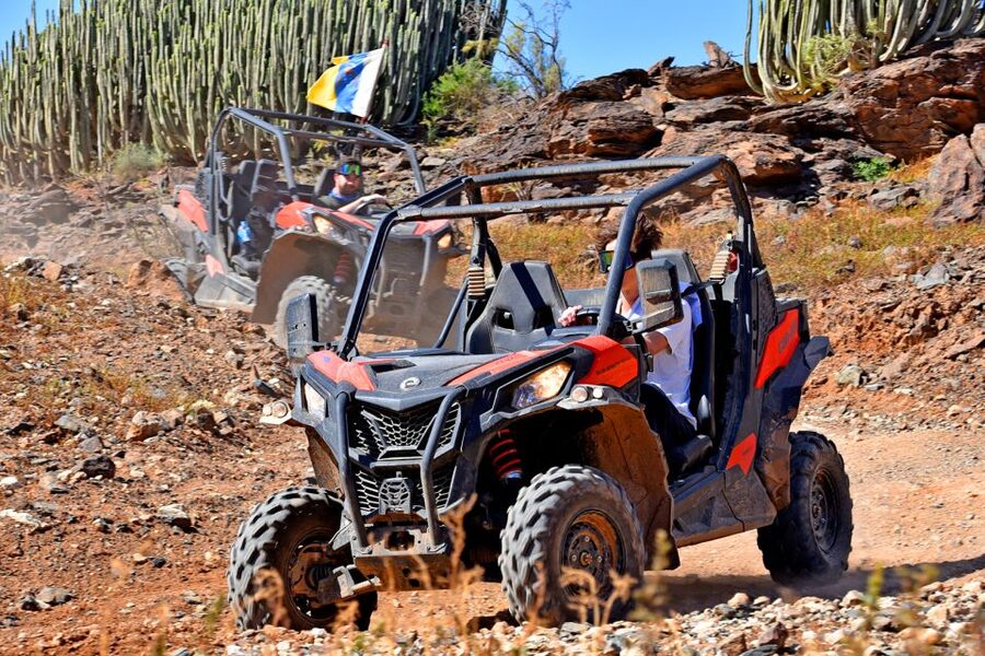 Las Palmas: Gran Canaria Guided Buggy Tour - Price and Value: Is $141 Worth It?