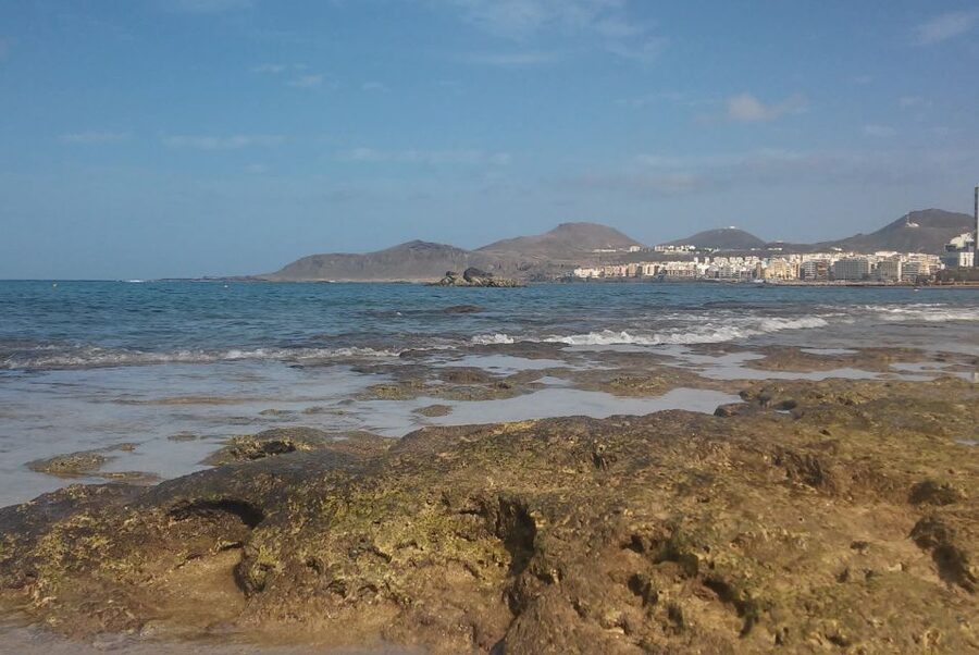 Las Palmas: Las Canteras Beach Snorkeling Trip - What “Shallow Water” Actually Feels Like Off Las Canteras